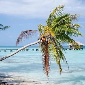 Sunset Hill Apartment Bora Bora